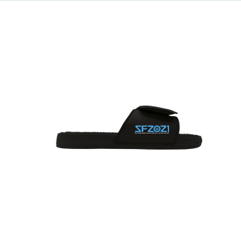2021 – SF2021 “ZOOM” Slides