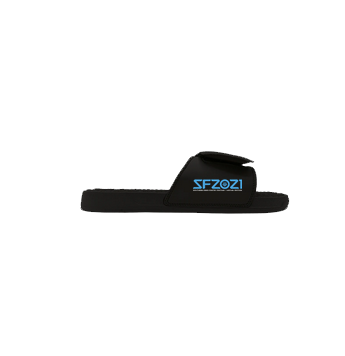 2021 - SF2021 "ZOOM" Slides